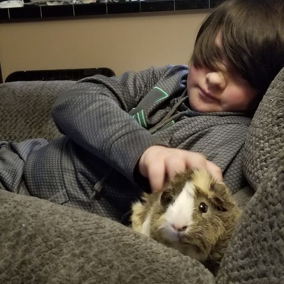 Meet your Posher, Jenni - Picture 1 of 1